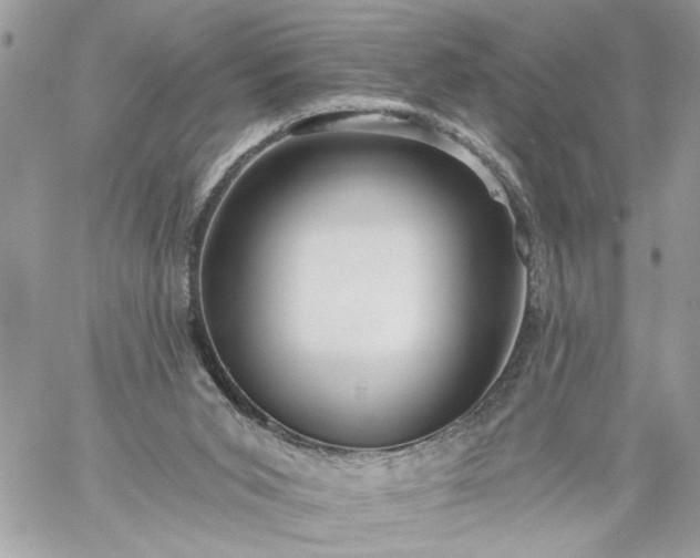 X0000059060015200510171951