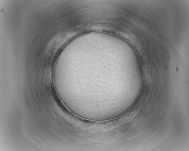 X0000059060016200510171951