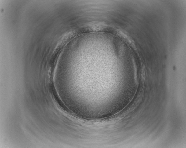 X0000059060018200510171951