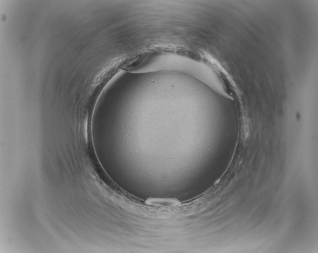 X0000059060019200510171951