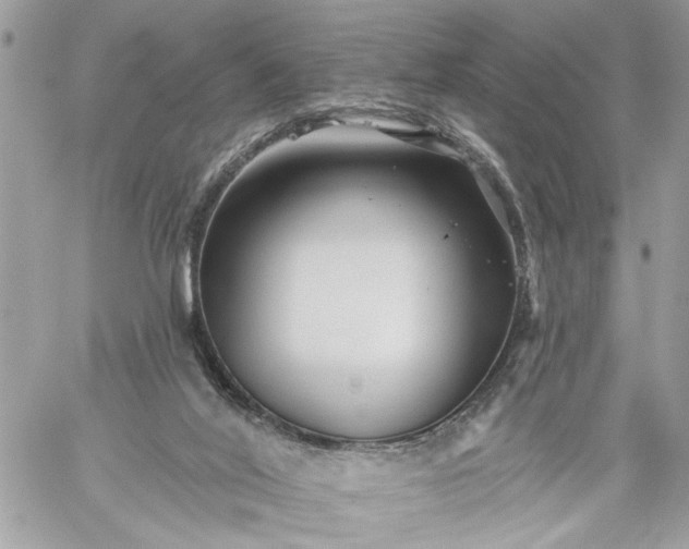 X0000059060020200510171951