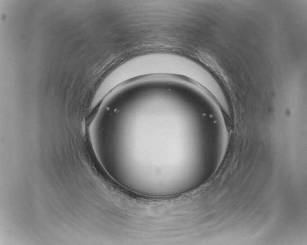 X0000059060021200510171951