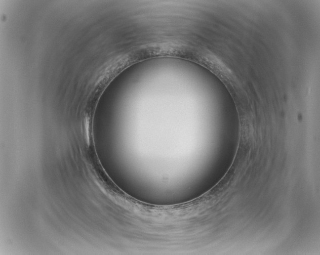 X0000059060022200510171951