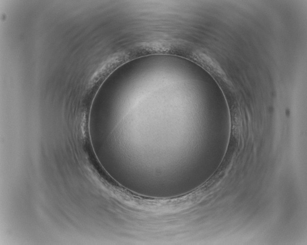 X0000059060023200510171950