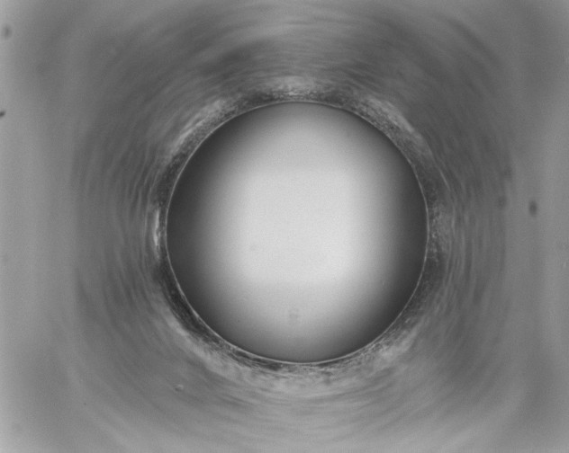 X0000059060024200510171950