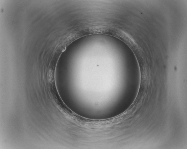 X0000059060025200510171950