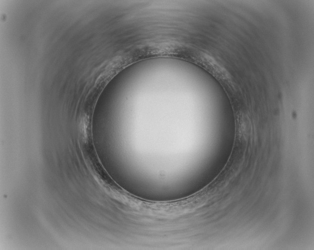 X0000059060026200510171950