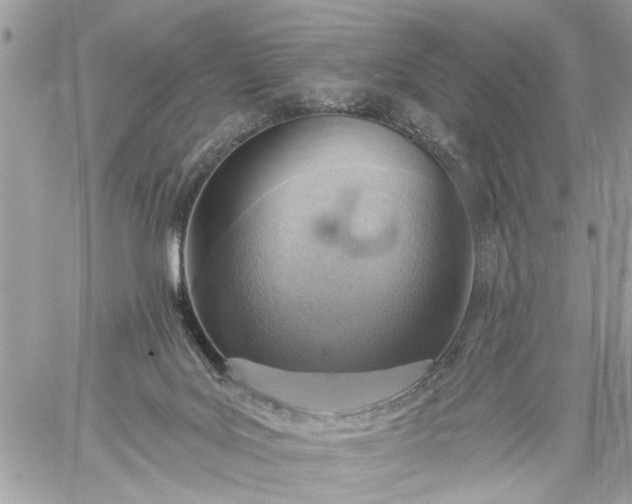 X0000059060027200510171950