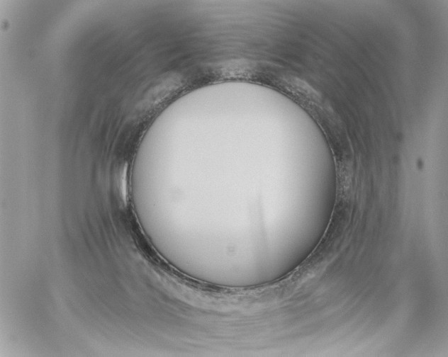 X0000059060028200510171950