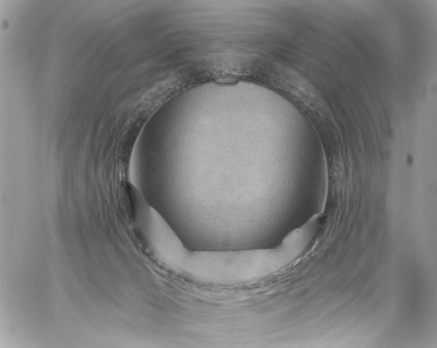 X0000059060029200510171950