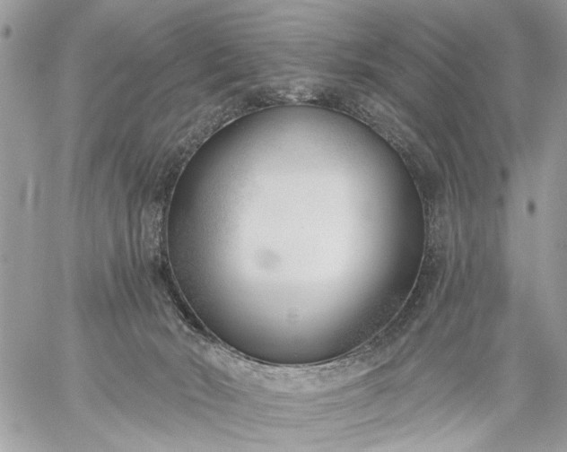 X0000059060030200510171950