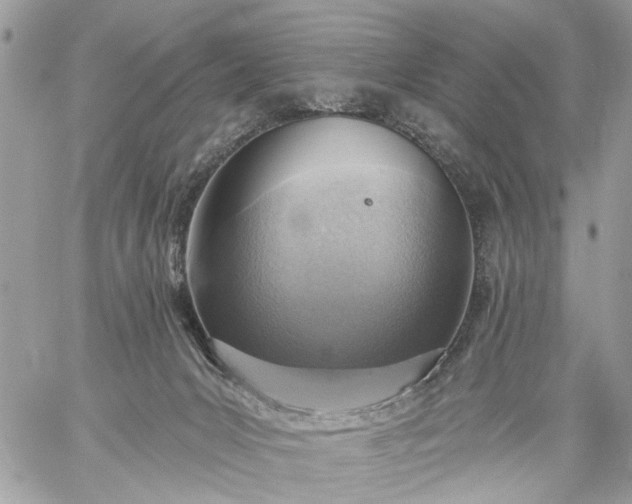 X0000059060031200510171950