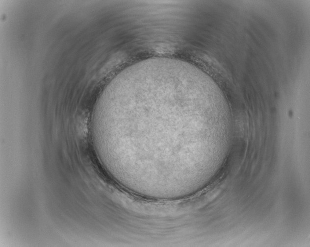 X0000059060032200510171950