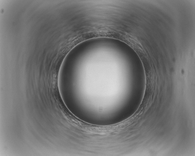 X0000059060033200510171950