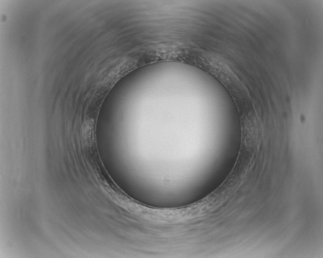 X0000059060034200510171950