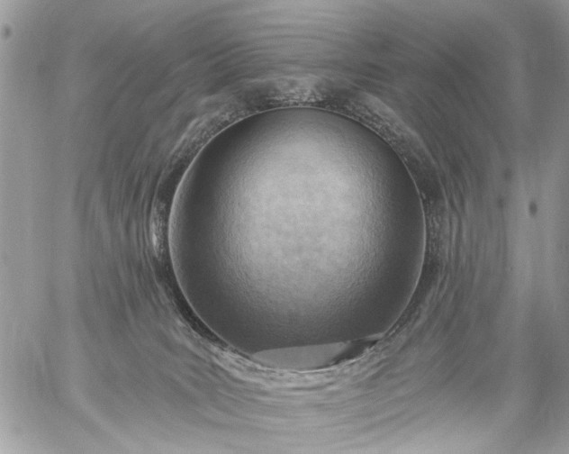 X0000059060035200510171950