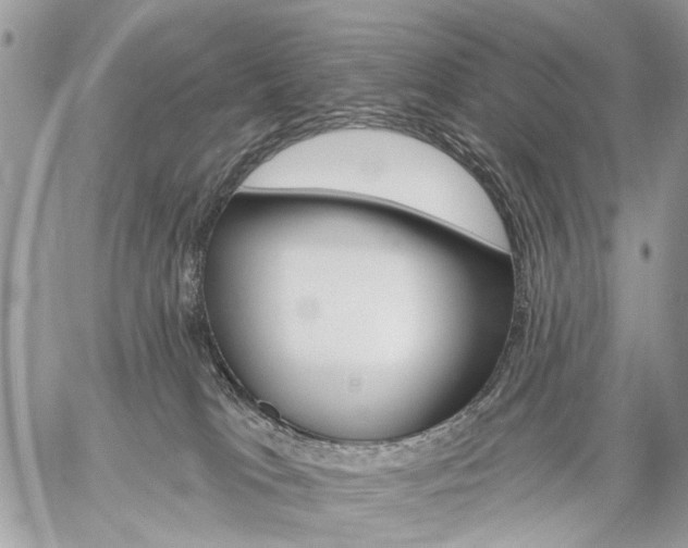 X0000059060037200510171950