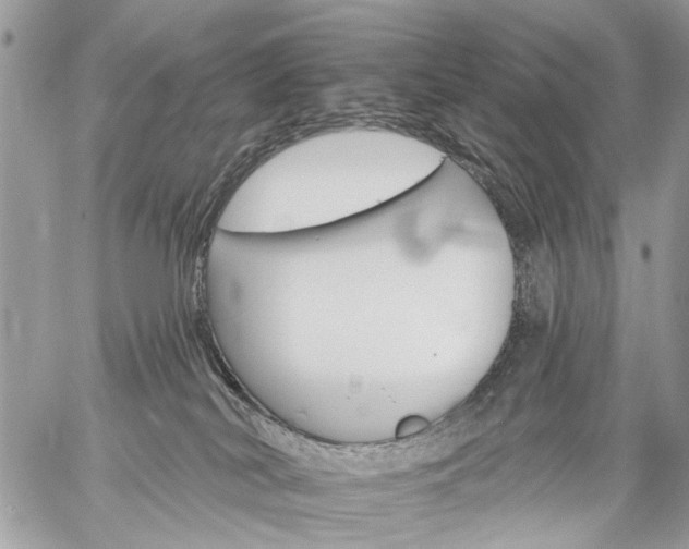 X0000059060038200510171950