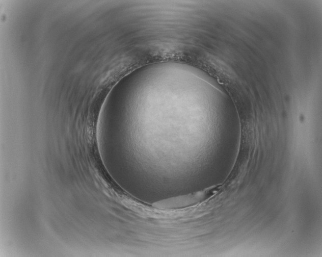 X0000059060039200510171950