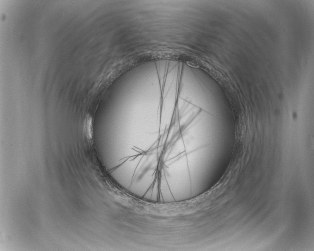 X0000059060041200510171950