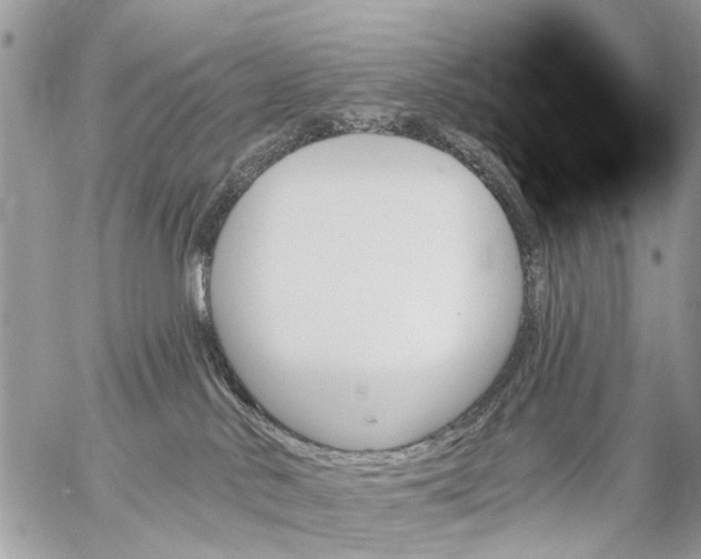 X0000059060042200510171950