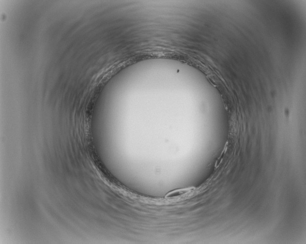 X0000059060043200510171950