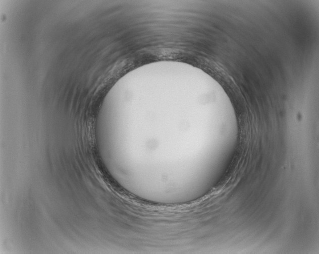 X0000059060044200510171950