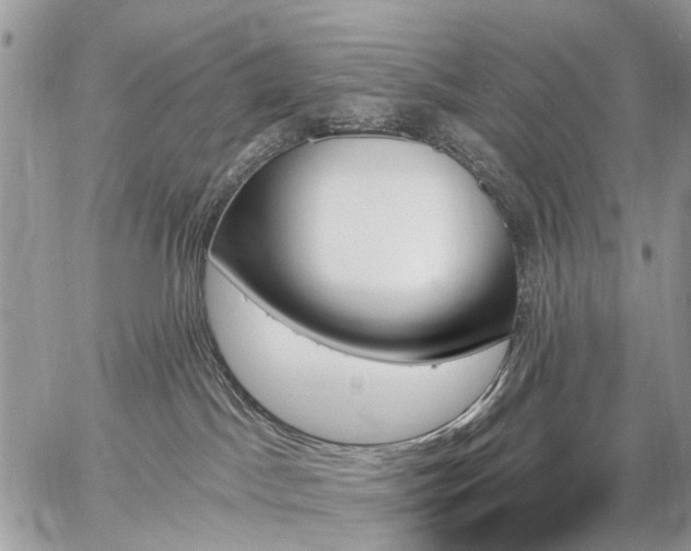 X0000059060045200510171950