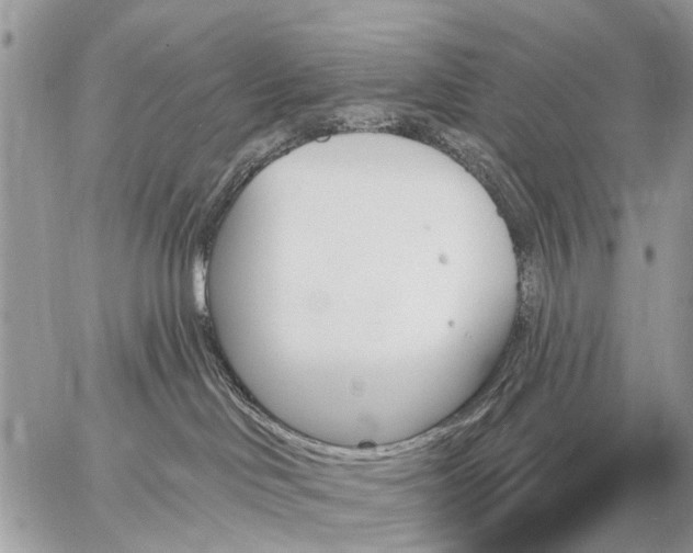 X0000059060046200510171950