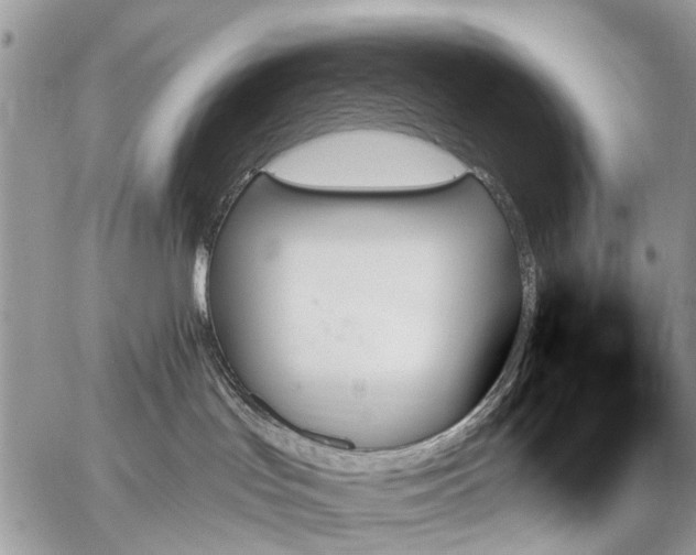 X0000059060047200510171950