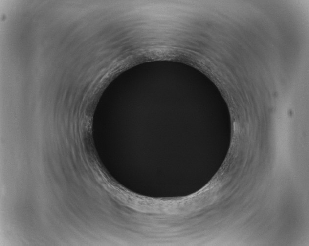 X0000059060048200510171950