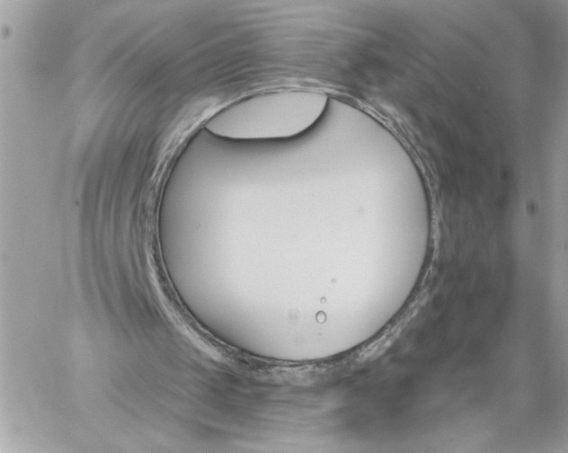 X0000059060049200510171949