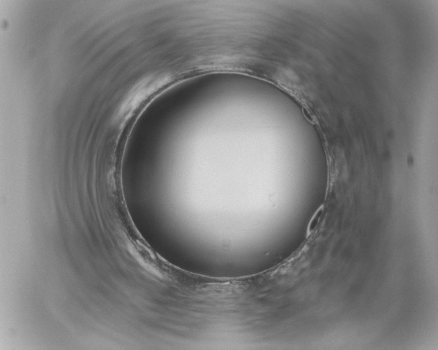 X0000059060050200510171949