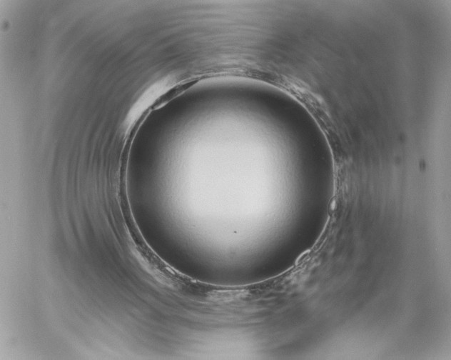 X0000059060051200510171949