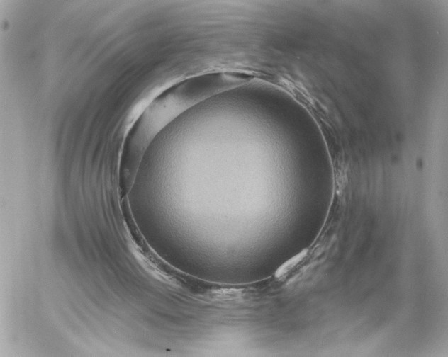 X0000059060052200510171949