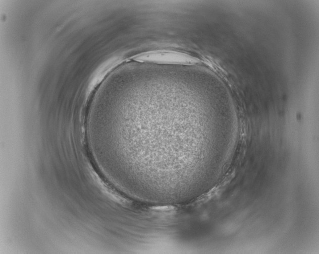 X0000059060053200510171949