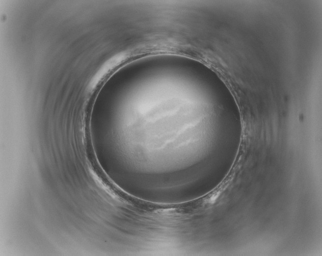 X0000059060054200510171949