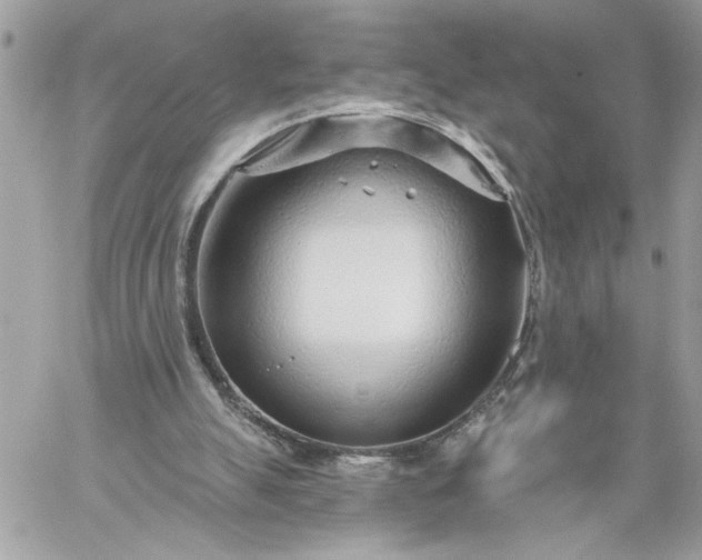 X0000059060055200510171949