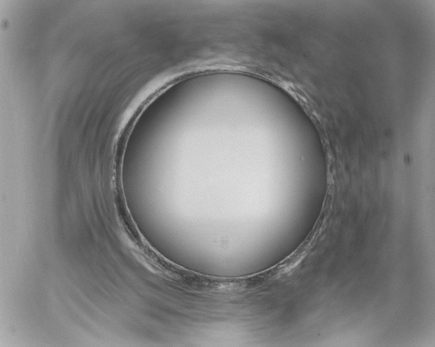 X0000059060056200510171949