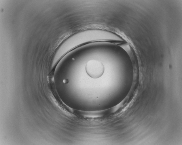 X0000059060057200510171949