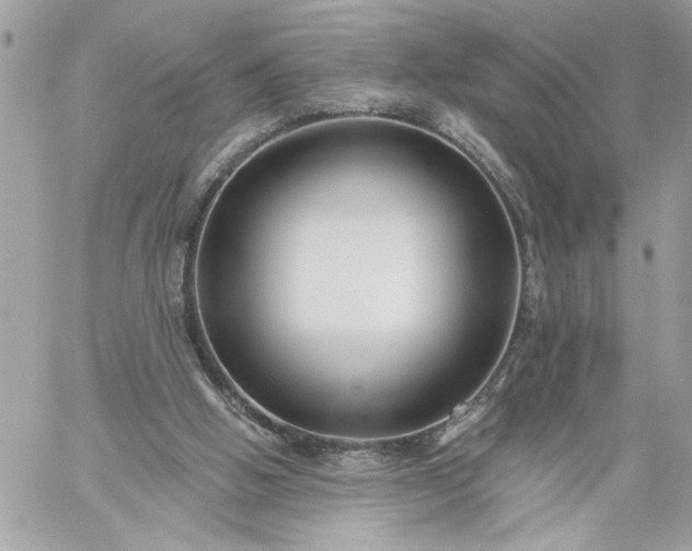 X0000059060058200510171949