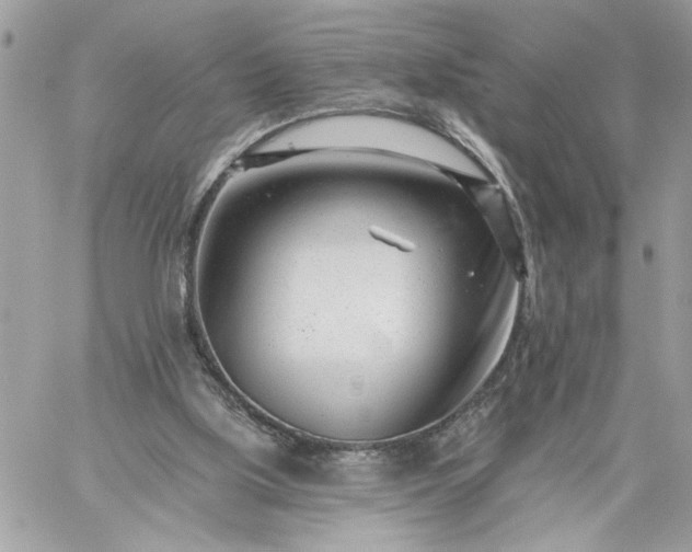 X0000059060059200510171949