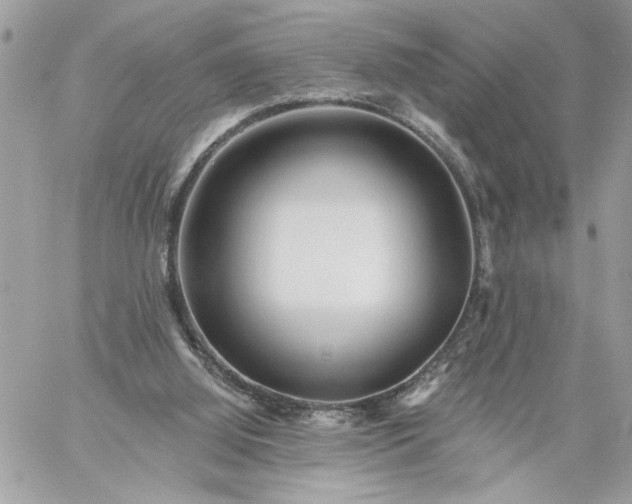 X0000059060060200510171949