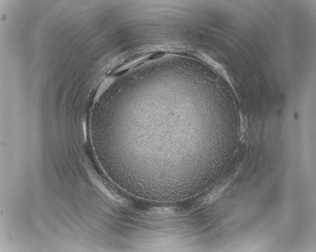 X0000059060061200510171950