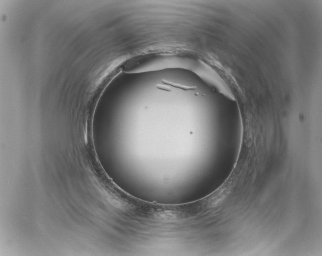 X0000059060062200510171950