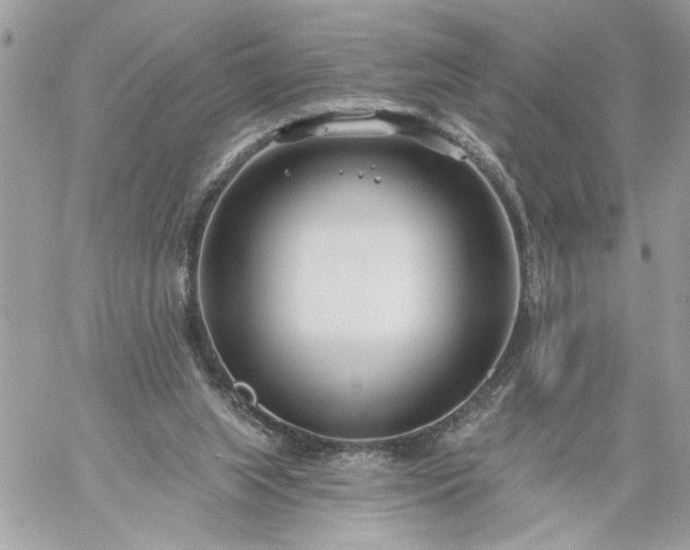 X0000059060063200510171950