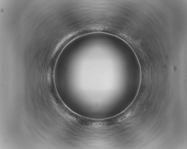 X0000059060064200510171950