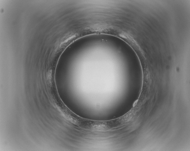 X0000059060066200510171950