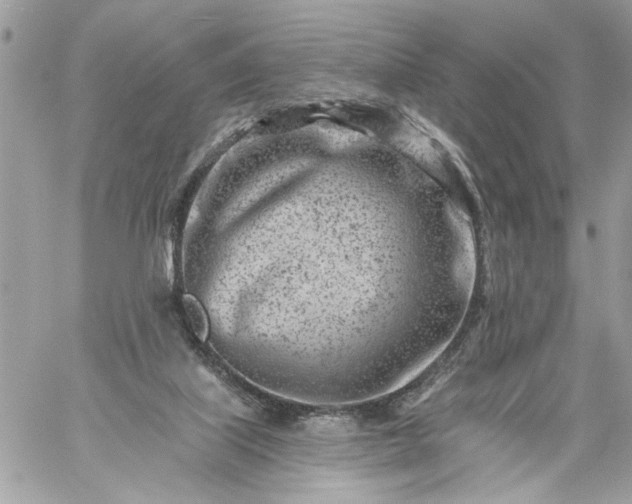 X0000059060067200510171950