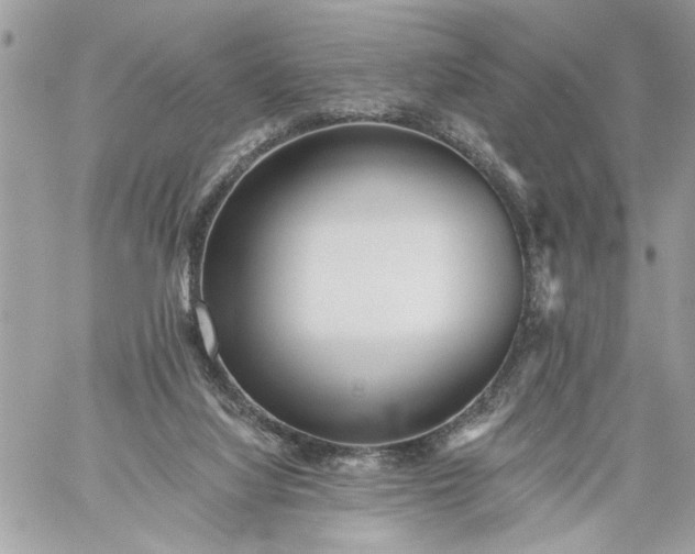 X0000059060068200510171950